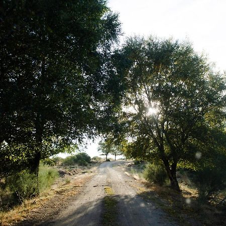 A Lagosta Perdida Montezinho Esterno foto