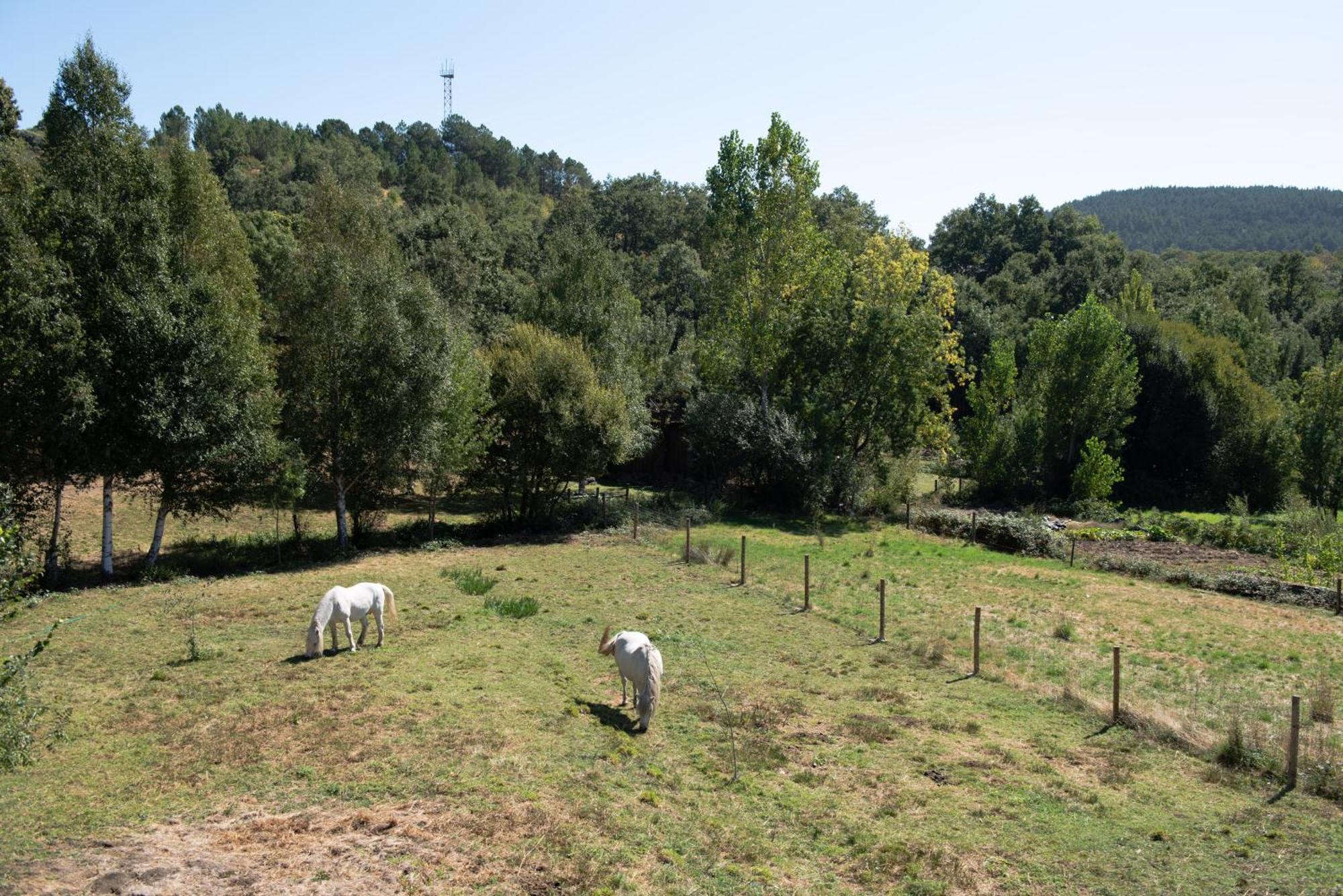 A Lagosta Perdida Montezinho Esterno foto
