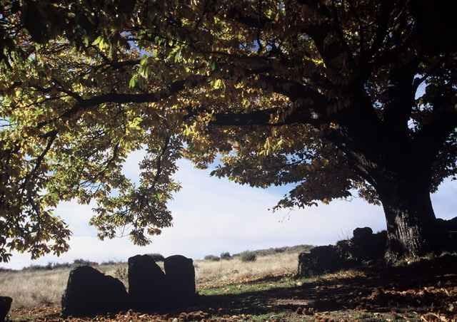 A Lagosta Perdida Montezinho Esterno foto