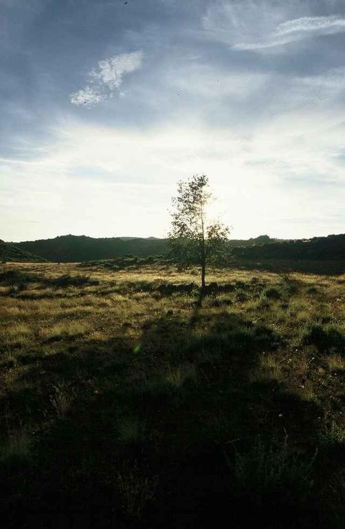 A Lagosta Perdida Montezinho Esterno foto