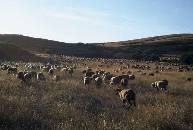 A Lagosta Perdida Montezinho Esterno foto