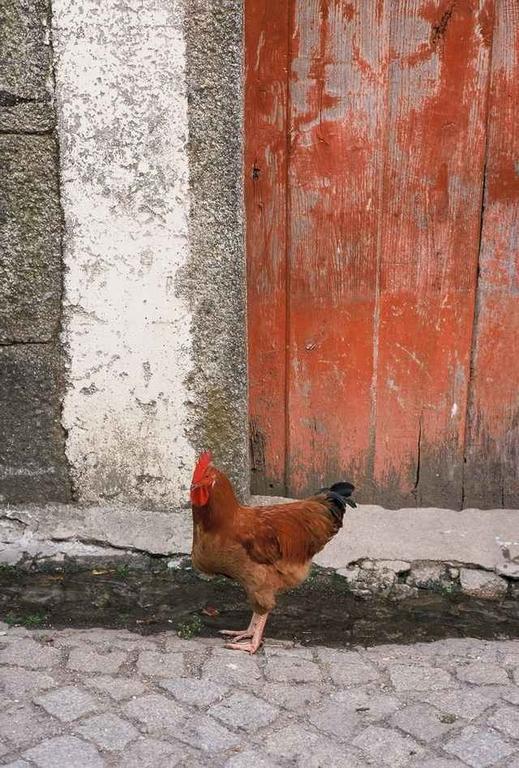 A Lagosta Perdida Montezinho Esterno foto