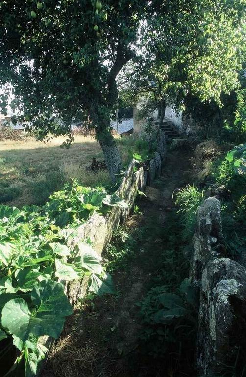 A Lagosta Perdida Montezinho Esterno foto